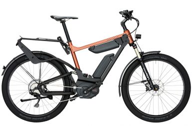 Riese & Muller Muller Delite touring